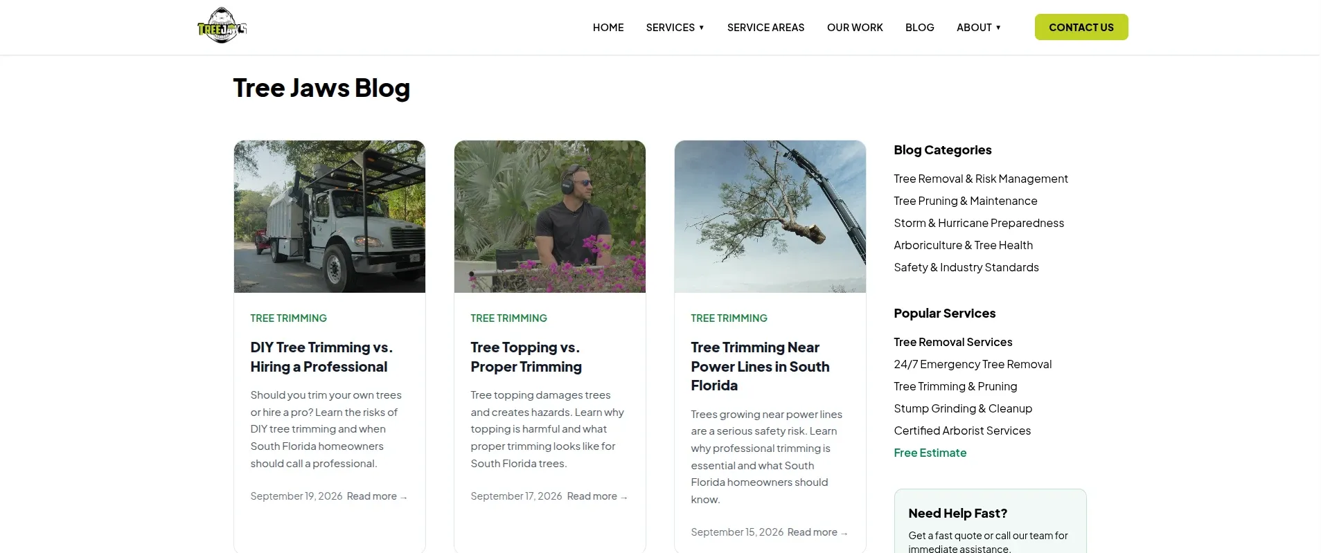 The Tree Jaws blog, publishing South Florida-specific guidance as part of the SEO strategy.
