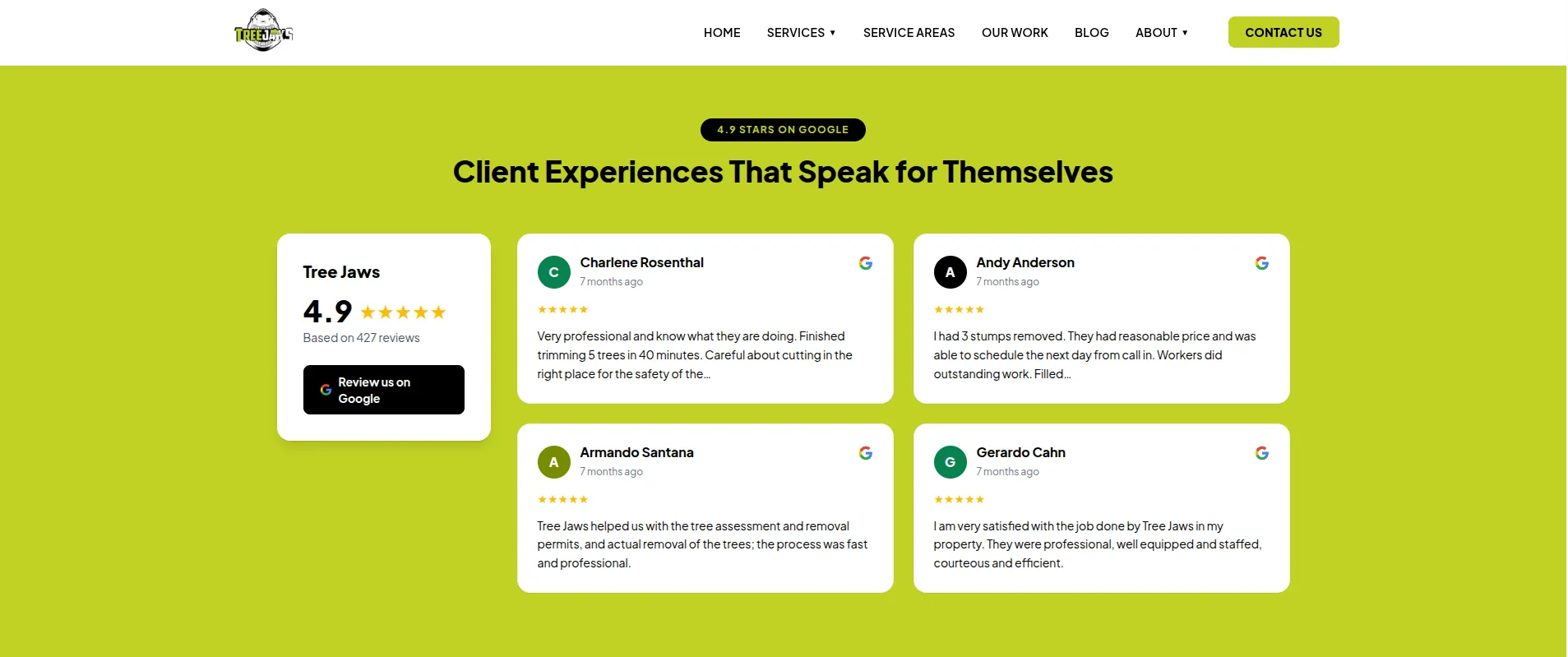 A Google Reviews-backed testimonials section showing the business's 4.9-star rating across 427 reviews.